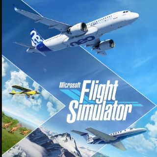 Flight Simulator 2020