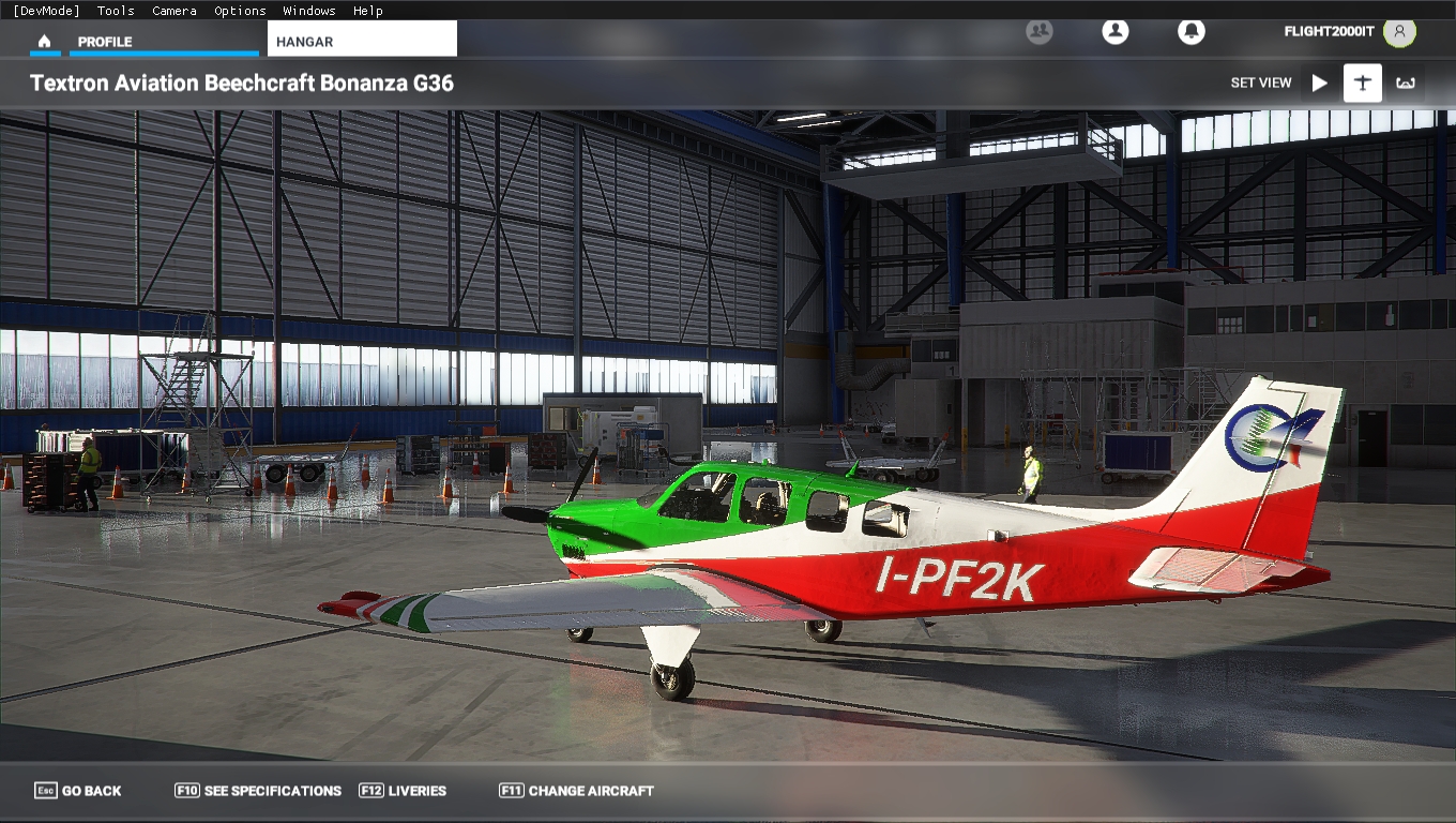 Microsoft Flight Simulator 27_10_2020 18_42_47
