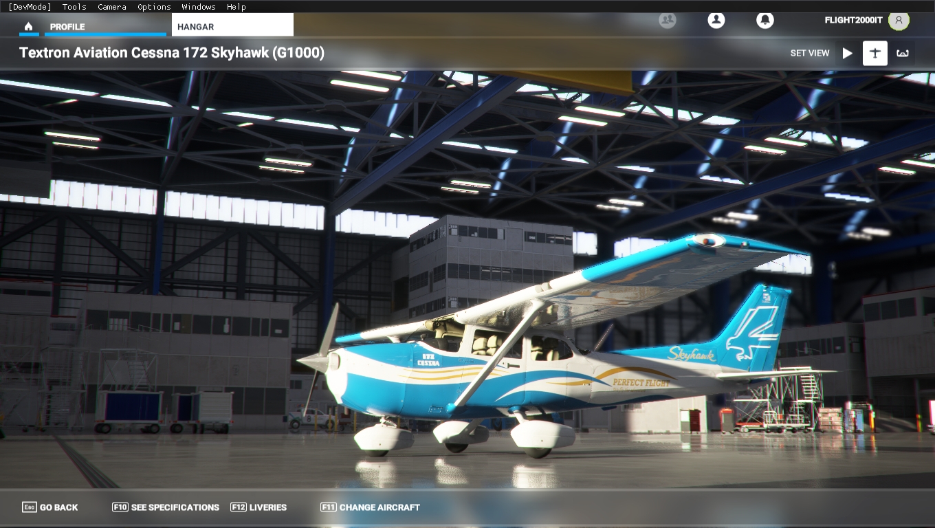 Microsoft Flight Simulator 02_11_2020 17_47_47