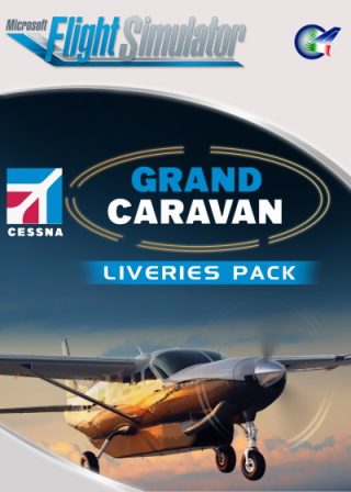 GRAND CARAVAN LIVERIES PACK MSFS